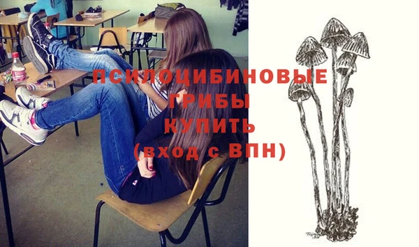амф Бородино