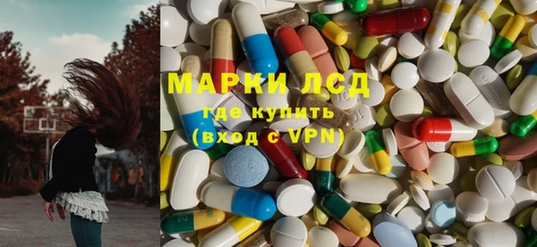 сатива Белокуриха