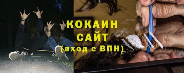 амф Бородино